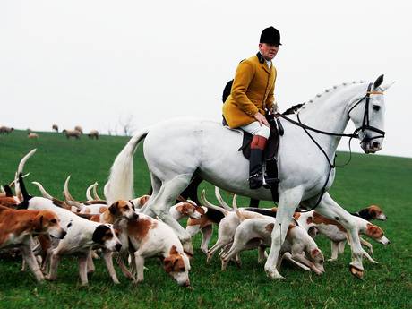 There are an estimated 45,000 hunt members (Getty Images) There are an estimated 45,000 hunt members (Getty Images)